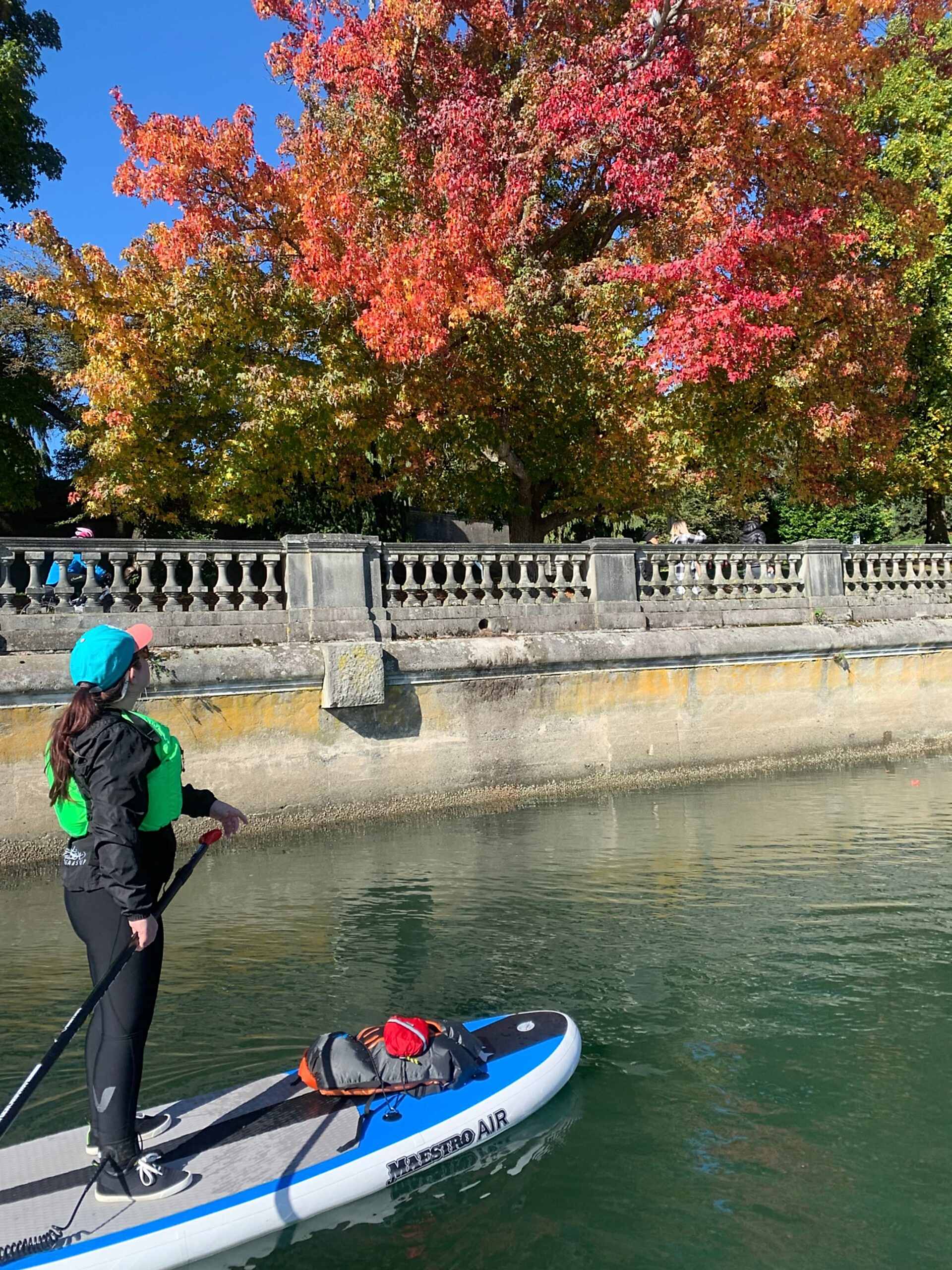 Stand Up Paddle Vancouver coal harbour tour